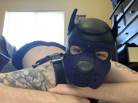 a_pup_named_maz onlyfans leaked picture 2