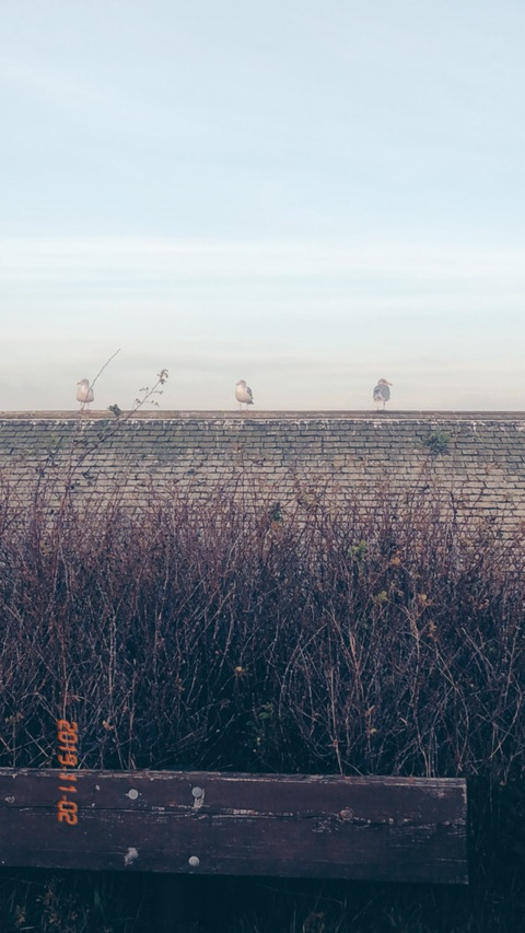 Onlyfans leak asteria.nyx - LeakedPerformer