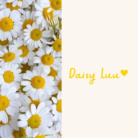 daisy_luu onlyfans leaked picture 1