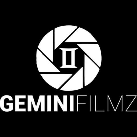 geminifilmz onlyfans leaked picture 1